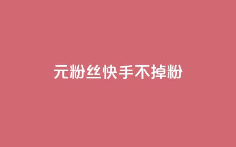 1元3000粉丝快手不掉粉 - 1元在快手增加3000粉丝，轻松不流失!  第1张