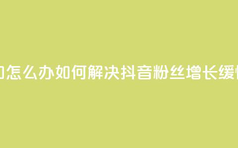 抖音粉丝不增加怎么办 - 如何解决抖音粉丝增长缓慢的问题!  第1张