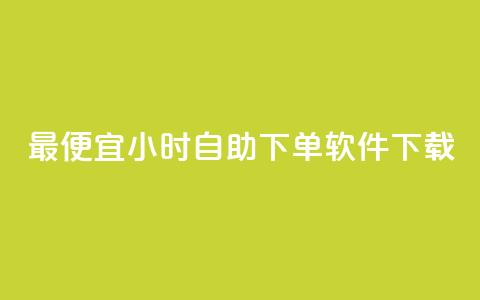 最便宜24小时自助下单软件下载 - 最实惠的24小时自助下单软件免费下载指南!  第1张