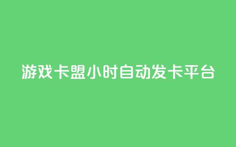 游戏卡盟24小时自动发卡平台 - 24小时自动发卡，畅享游戏乐趣。  第1张