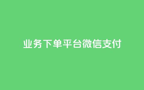 KS业务下单平台微信支付,快手抖音双击24小时下单网站 - dy自助服务平台 抖音一万播放1块钱  第1张
