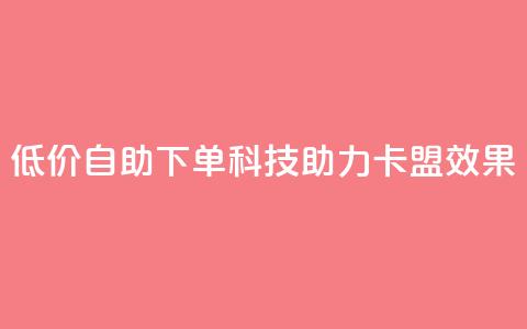 低价自助下单科技助力卡盟SEO效果  第1张