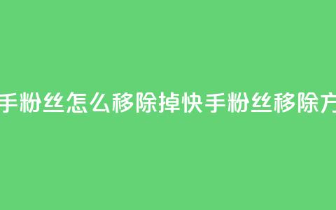 快手粉丝怎么移除掉(快手粉丝移除方法) 第1张 快手粉丝怎么移除掉(快手粉丝移除方法) 第1张