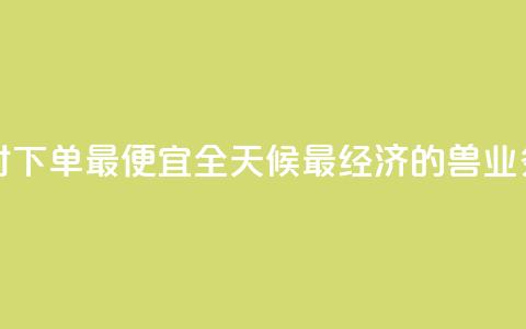 块兽业务平台24小时下单最便宜 - 全天候最经济的兽业务平台下单~  第1张