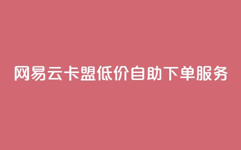 网易云卡盟低价自助下单服务  第1张