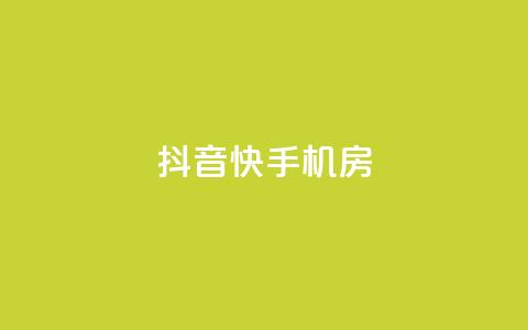 抖音快手机房,卡盟平台官网在线 - 刷钻卡盟永久钻网站 QQ空间访客20万的人正常吗  第1张