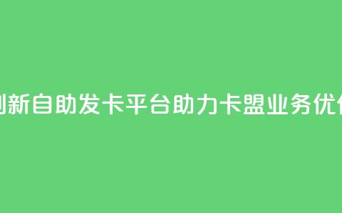 创新自助发卡平台，助力卡盟业务优化  第1张