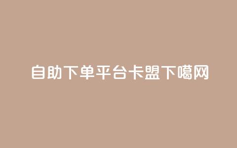 自助下单平台：91卡盟  第1张