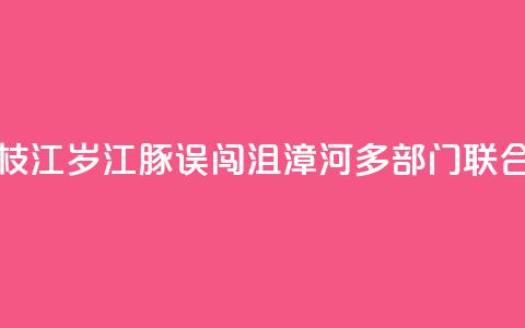 湖北枝江：2岁江豚误闯沮漳河 多部门联合救援  第1张