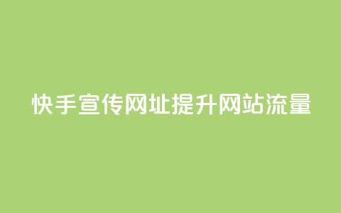 快手宣传网址提升网站流量  第1张