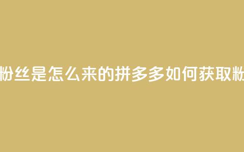 拼多多上粉丝是怎么来的(拼多多如何获取粉丝) 第1张 拼多多上粉丝是怎么来的(拼多多如何获取粉丝) 第1张