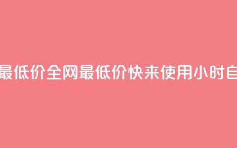 小时自助下单全网最低价 - 全网最低价！快来使用小时自助下单服务~  第1张