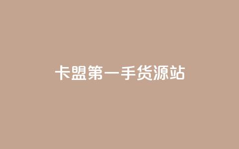 卡盟第一手货源站 - 卡盟第一手货源站——打造你的独一无二的加密在线购物平台~  第1张
