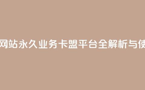 qq永久业务卡盟网站 - QQ永久业务卡盟平台全解析与使用指南！  第1张