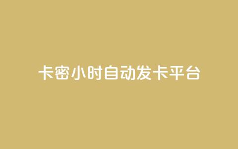 卡密24小时自动发卡平台 - 24小时自动发卡平台，全新卡密服务	，快速便捷！~  第1张