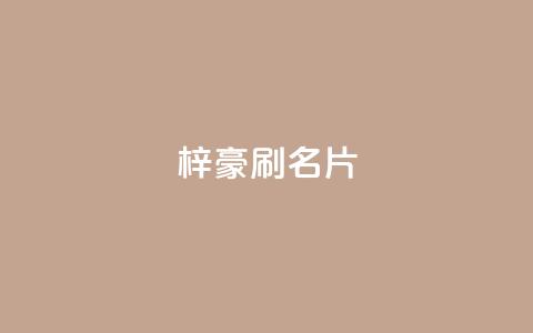 梓豪刷名片,刷黑钻卡盟 - 拼多多卡盟自助下单服务 pdd砍一刀  第1张