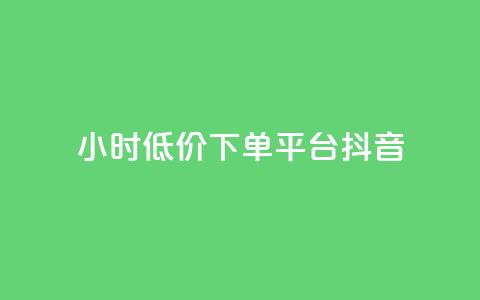 24小时低价下单平台抖音 - 快手业务平台子萧网  第1张