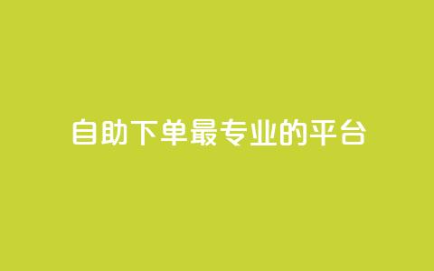 自助下单 - 最专业的平台,快手业务网站平台24小时 ks便宜的下单平台 网红助手平台哪个好用  第1张