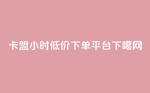 卡盟24小时低价下单平台 第1张 卡盟24小时低价下单平台 第1张