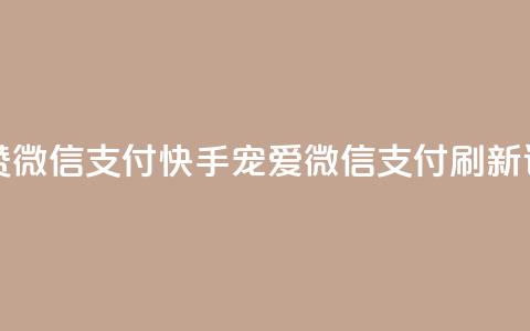 快手一秒5000赞微信支付 - 快手宠爱	，微信支付刷新记录！!  第1张