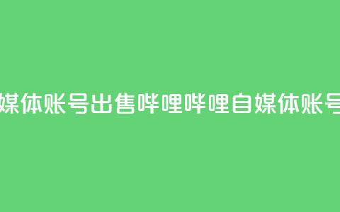 哔哩哔哩自媒体账号出售(哔哩哔哩自媒体账号转让) 第1张 哔哩哔哩自媒体账号出售(哔哩哔哩自媒体账号转让) 第1张