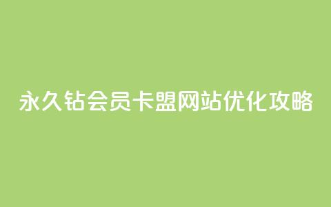 永久钻会员卡盟网站优化攻略 第1张 永久钻会员卡盟网站优化攻略 第1张