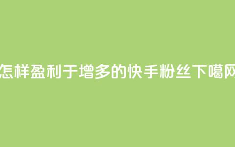 怎样盈利于增多的快手粉丝 第1张 怎样盈利于增多的快手粉丝 第1张