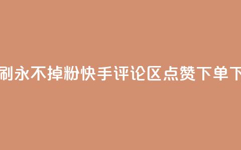 快手刷永不掉粉 - 快手评论区点赞下单  第1张