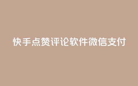 快手点赞评论软件微信支付 - 一元一万抖音粉丝  第1张