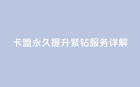 卡盟永久提升紫钻服务详解  第1张