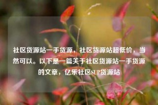 社区货源站一手货源，社区货源站超低价，当然可以。以下是一篇关于社区货源站一手货源的文章，亿乐社区SUP货源站