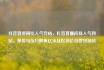 抖音直播间挂人气网站，抖音直播间挂人气网站，策略与技巧解析亿乐社区低价自营货源站