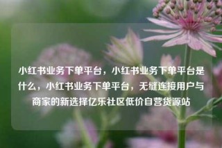 小红书业务下单平台，小红书业务下单平台是什么，小红书业务下单平台，无缝连接用户与商家的新选择亿乐社区低价自营货源站