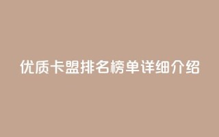 优质卡盟排名榜单详细介绍
