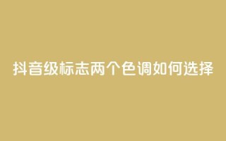 抖音75级标志两个色调如何选择