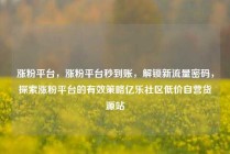 涨粉平台，涨粉平台秒到账，解锁新流量密码，探索涨粉平台的有效策略亿乐社区低价自营货源站