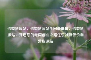 卡盟货源站，卡盟货源站全网最低价，卡盟货源站，开启您的电商创业之路亿乐社区低价自营货源站