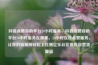 抖音点赞自助平台24小时服务，抖音点赞自助平台24小时服务在哪里，24小时在线点赞服务，让你的短视频轻松上红榜亿乐社区低价自营货源站