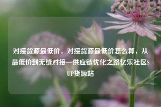 对接货源最低价，对接货源最低价怎么算，从最低价到无缝对接—供应链优化之路亿乐社区SUP货源站