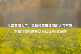 抖音直播人气，揭秘抖音直播间的人气密码，策略与技巧解析亿乐社区SUP货源站