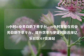 24小时dy业务自助下单平台，24小时智能在线业务自助下单平台，提升效率与便捷的新选择亿乐社区SUP货源站