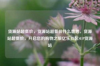 货源站超低价，货源站超低价什么意思，货源站超低价，开启您的购物之旅亿乐社区SUP货源站