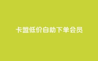 卡盟低价自助下单会员,qq访客充值 - qq互赞群在哪里找 - qq会员超级会员多少钱