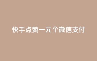 快手点赞一元100个微信支付,快手真人点赞业务微信支付 - 24小时qq空间自助 - 快手在线自助业务平台