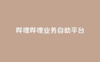 哔哩哔哩业务自助平台,KS业务下单平台秒到账 - 快手业务平台全网最低价 - 快手双击真人粉丝