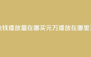 1块钱1w播放量在哪买(1元1万播放在哪里买？)