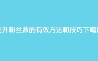 提升粉丝数的有效方法和技巧