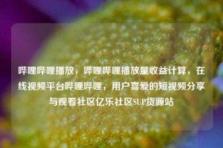 哔哩哔哩播放，哔哩哔哩播放量收益计算，在线视频平台哔哩哔哩，用户喜爱的短视频分享与观看社区亿乐社区SUP货源站