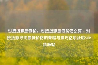 对接货源最低价，对接货源最低价怎么算，对接货源寻找最低价格的策略与技巧亿乐社区SUP货源站