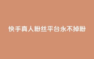 快手真人粉丝平台 永不掉粉,快手在线下单平台全网最低价 - 抖音刷1000粉入口 - 全网最便宜卡盟
